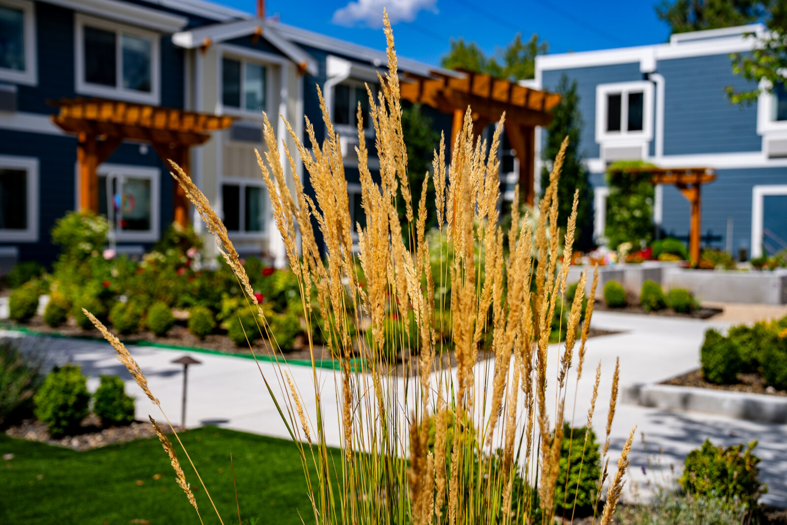 exterior gardens