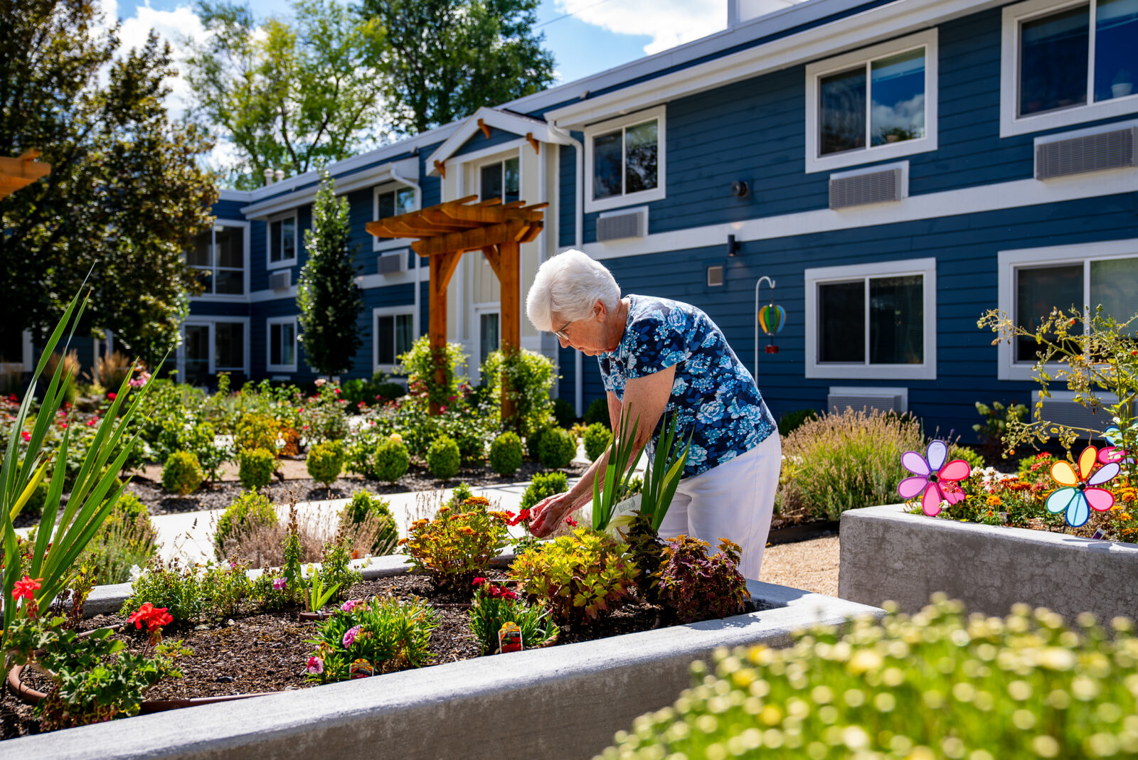 senior woman working in the raised beds